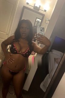 Photo of Discrete companion, 26 — Tuscaloosa