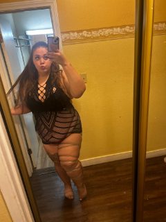 Photo of Discrete companion, 23 — Paradise