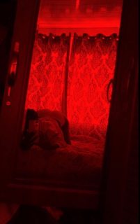 Photo of Discrete companion, 20 — WESTPHILLY