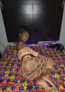 Photo of Discrete companion, 28 — Fairfield