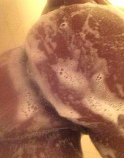 Photo of Discrete companion, 21 — Southeast Missouri
