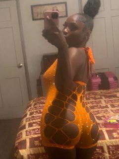 Photo of Discrete companion, 21 — Content and meetups only