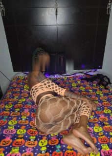 Photo of Discrete companion, 28 — Fairfield