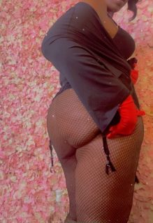 Photo of Discrete companion, 27 — MEMPHIS