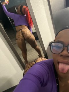 Photo of Discrete companion, 22 — Airport