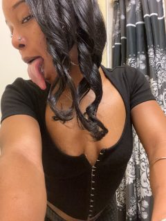 Photo of Discrete companion, 27 — Bartlett