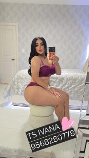 Photo of Discrete companion, 33 — McAllen