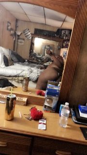 Photo of Discrete companion, 22 — Cocoa