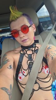 Photo of Discrete companion, 31 — Rawr Central